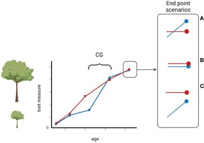 Editorial: Compensatory growth: an adaptation to environmental stress in plants and animals